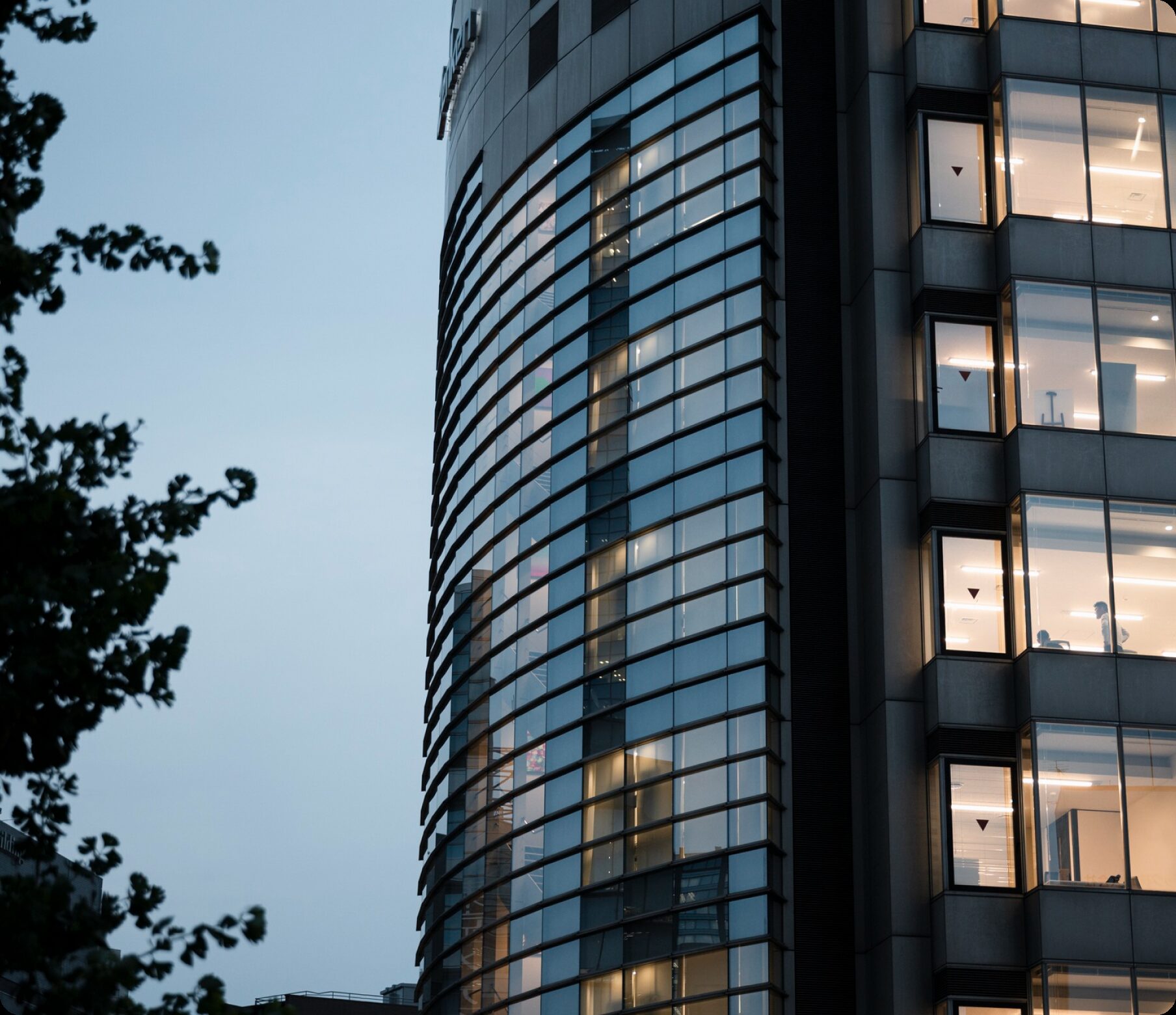 Commercial Windows case study